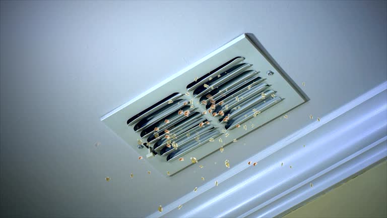 Best Affordable HVAC Duct Cleaning  in Bethany, MO